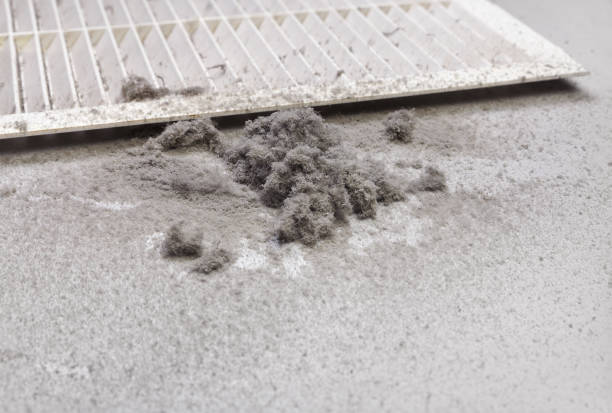 Best Commercial HVAC Duct Cleaning  in Lake Mathews, CA