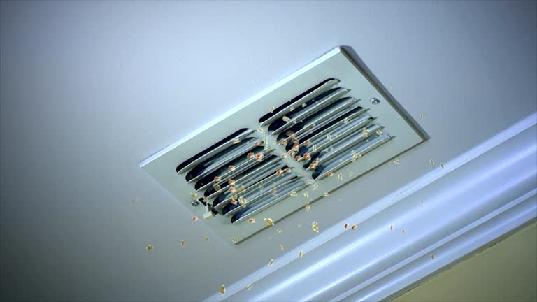 Best Air Duct Sanitizing Services  in Lake Mathews, CA